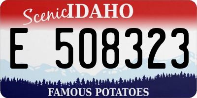 ID license plate E508323