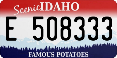 ID license plate E508333