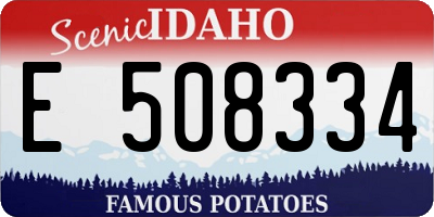 ID license plate E508334