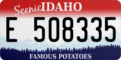 ID license plate E508335
