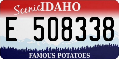 ID license plate E508338