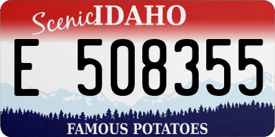 ID license plate E508355