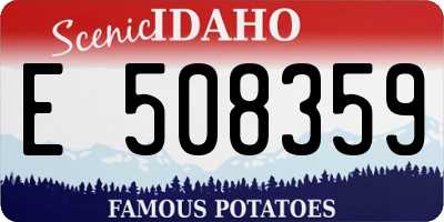 ID license plate E508359