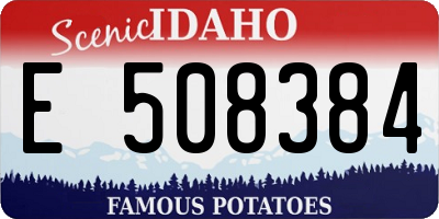 ID license plate E508384