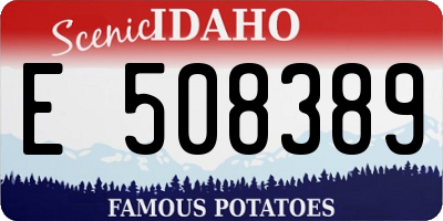 ID license plate E508389