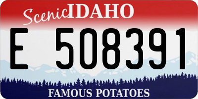 ID license plate E508391