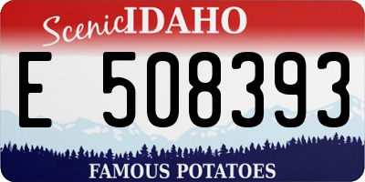 ID license plate E508393