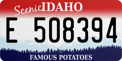 ID license plate E508394