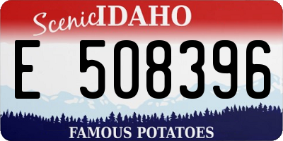 ID license plate E508396