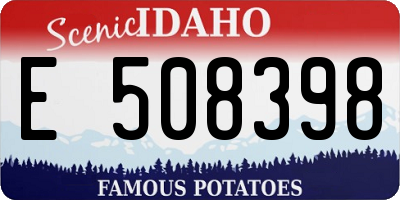 ID license plate E508398