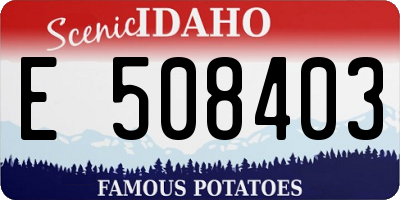 ID license plate E508403