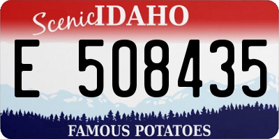 ID license plate E508435