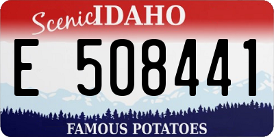 ID license plate E508441