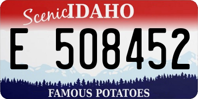 ID license plate E508452