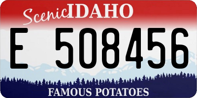 ID license plate E508456