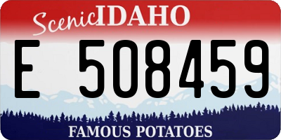 ID license plate E508459