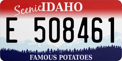 ID license plate E508461