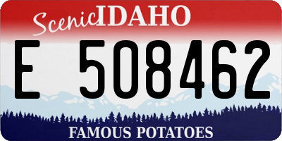 ID license plate E508462