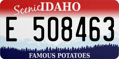 ID license plate E508463