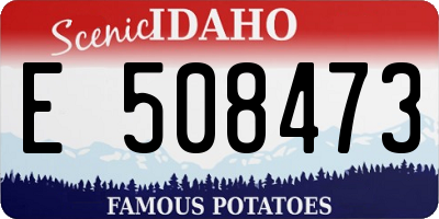 ID license plate E508473