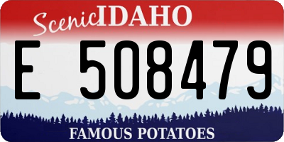 ID license plate E508479