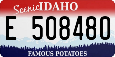 ID license plate E508480