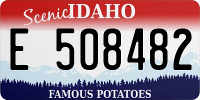 ID license plate E508482