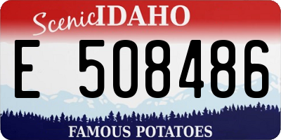 ID license plate E508486