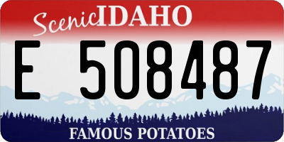 ID license plate E508487