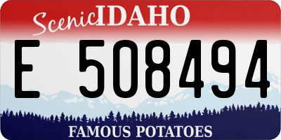ID license plate E508494