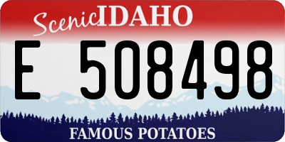 ID license plate E508498