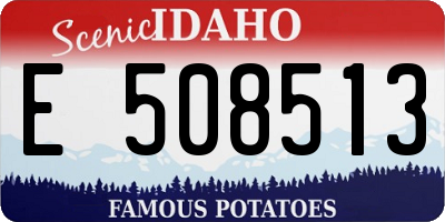 ID license plate E508513