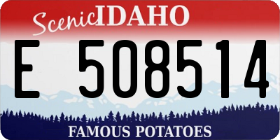 ID license plate E508514