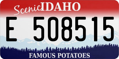 ID license plate E508515