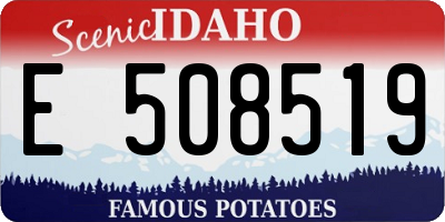 ID license plate E508519