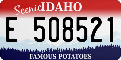 ID license plate E508521