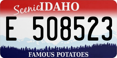 ID license plate E508523