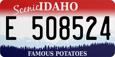 ID license plate E508524