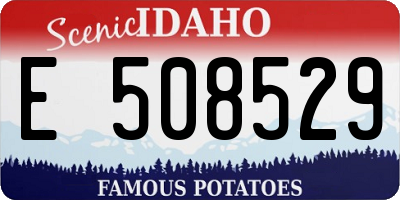 ID license plate E508529