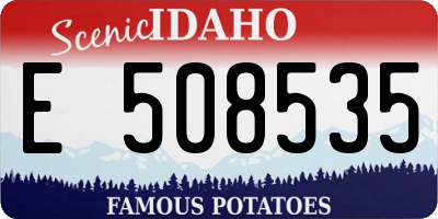 ID license plate E508535