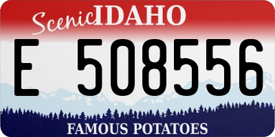 ID license plate E508556