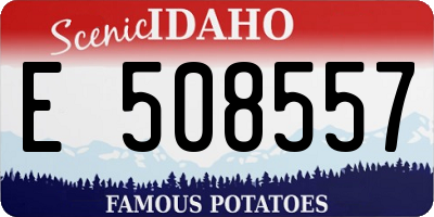 ID license plate E508557