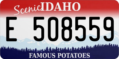 ID license plate E508559