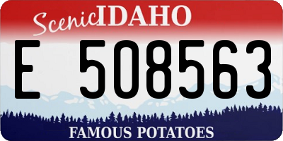 ID license plate E508563
