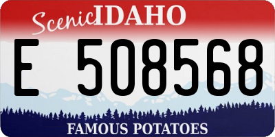 ID license plate E508568