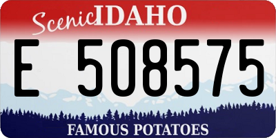 ID license plate E508575