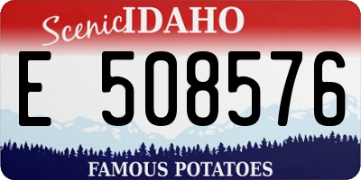 ID license plate E508576