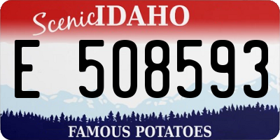 ID license plate E508593