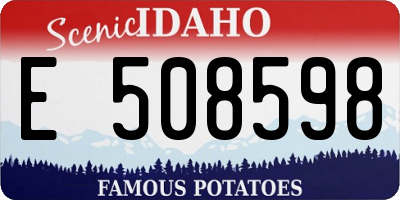 ID license plate E508598