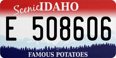 ID license plate E508606